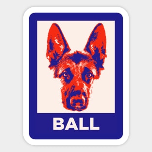 Ball Crazy Sticker